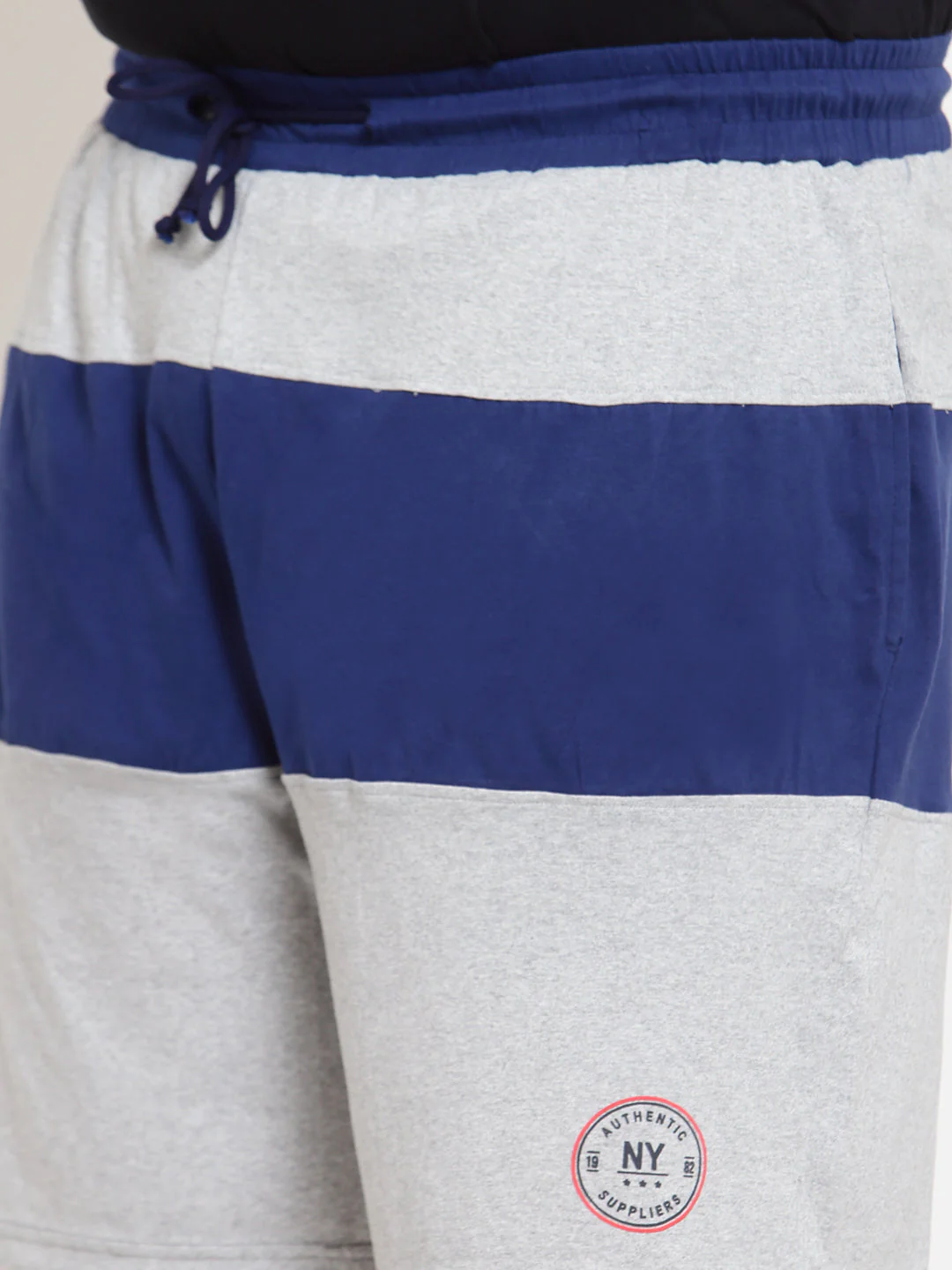 Plus Size Men Grey Colourblocked Regular Fit Regular Shorts - Image 3